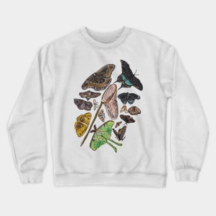 An Entomologist's Dream Crewneck Sweatshirt